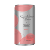 Nature'S Spring Sparkling Water Apple 330Ml