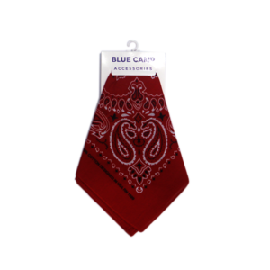 Paisley Scarf - Red