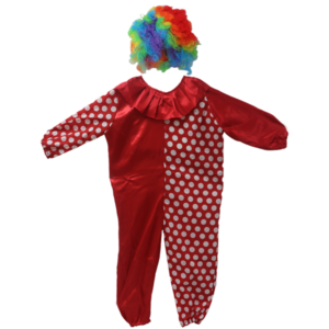 NATM Clown Costume With Apro Wig