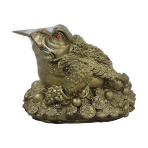 Alternative view of TD Prosperity  Frog