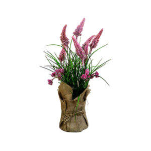 Flowers Fox Tail Grass 50 cm