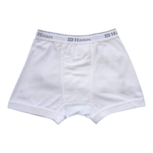 Hanes Boxer Brief Large