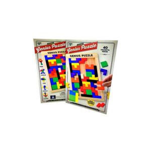 Meridian Point Wooden Genius Puzzle