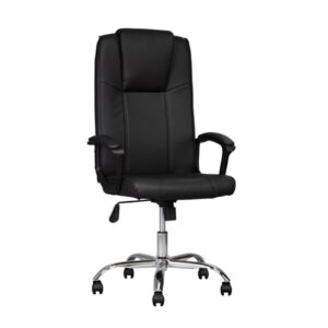Alternative view of Sanyang Executive's Chair