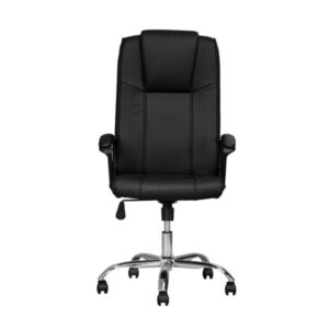 Sanyang Executive's Chair