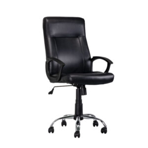 Alternative view of Sanyang Executive's Chair
