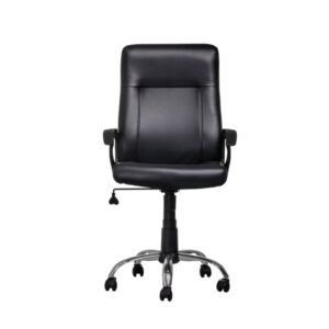 Sanyang Executive's Chair