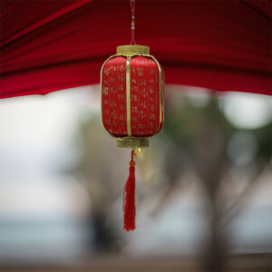 Chinese Lantern With Character With Battery Oval Black-Red