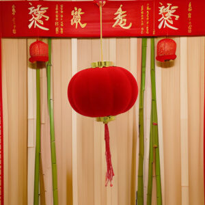 Chinese Lantern Plain Round Red Color