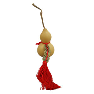 Alternative view of Chinese HD Holy Gourd Good With 5 Coins Natural