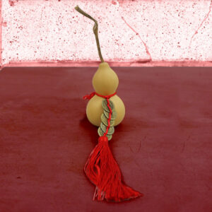 Chinese HD Holy Gourd Good With 5 Coins Natural