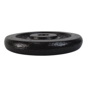 Alternative view of Barbell Plate (10 Lbs) 4S