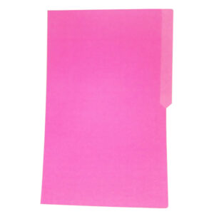 File Folder 11Pts Pre Punch Colored Long