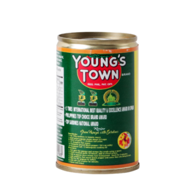 Young'S Town Sardines In Tomato Sauce Easy Open Can 155G