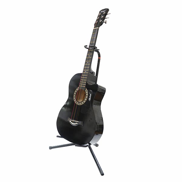 Global Acoustic Guitar Cut-Away with Case