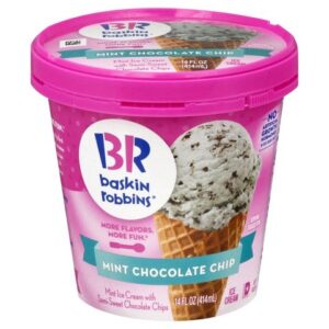 Baskin Robbins Mint Chocolate Chip Ice Cream 14 Oz