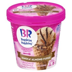 Baskin Robbins Jamoca Almond Fudge Ice Cream 14oz