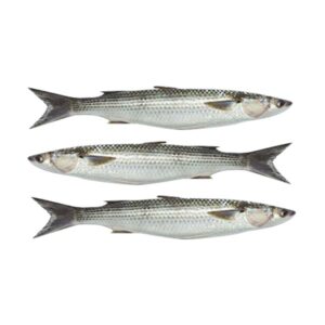 Banak 1kg