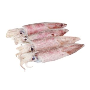 Pusit Bisaya 1kg