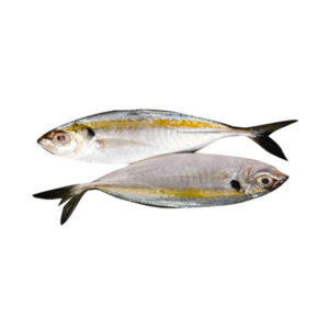 Salay Salay 1kg