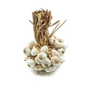 Native Garlic 1kg