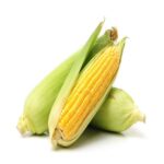 QV Sweetcorn with Husk 1kg