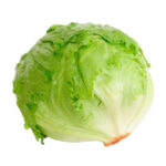 QV Lettuce Head 1kg