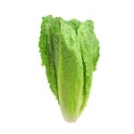 QV Lettuce Romaine 1kg
