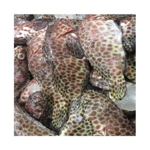 Lapulapu Tunay 1kg