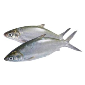 Hasa Hasa 1kg