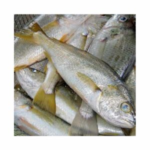 Alakaak (Croaker) 1kg