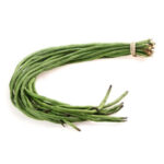 JJ String Beans
