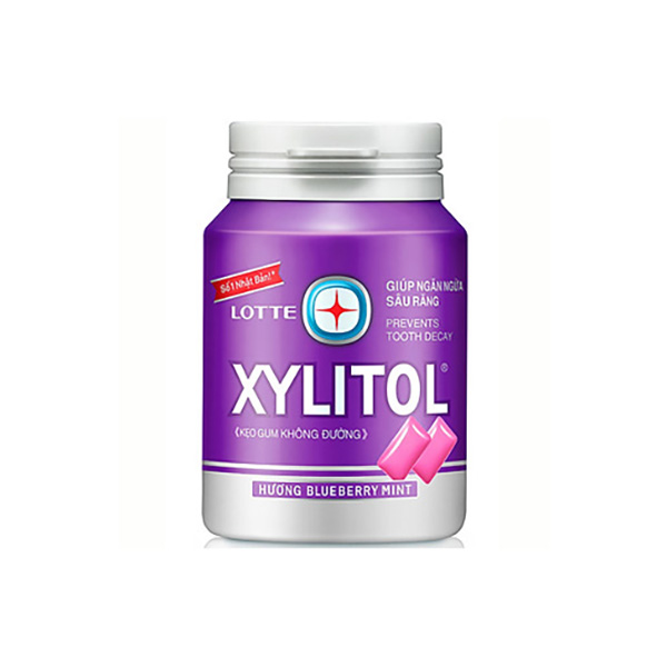 Xylitol Handy Bottle Blueberry Mint 58g