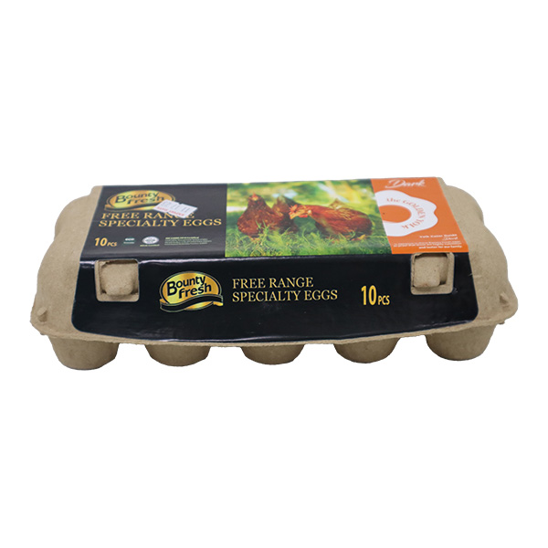 Bounty Fresh Free Range Eggs 10pcs