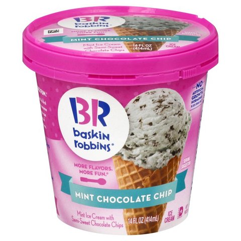 Baskin Robbins Mint Chocolate Chip Ice Cream 14oz