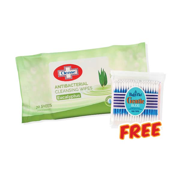 Cleene Antibacterial Cleansing Wipes Eucalyptus 30's x 36