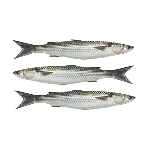 Banak 1KG