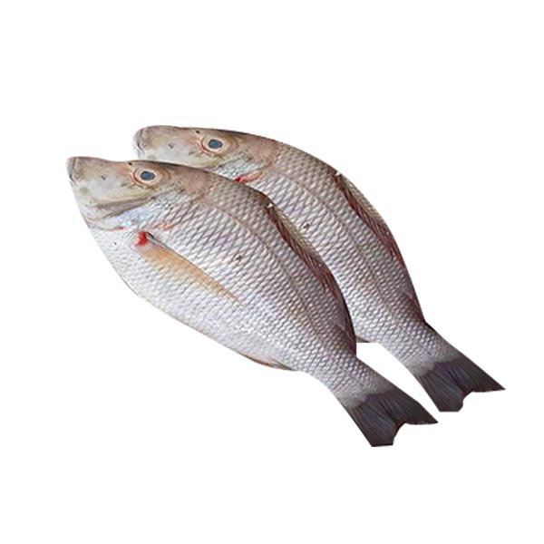 Betilla 1KG