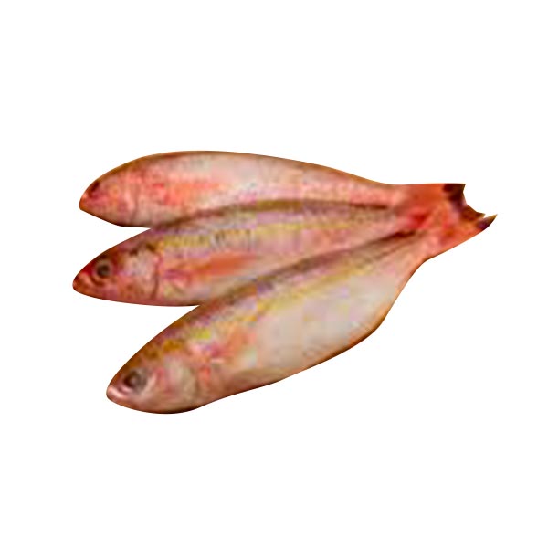 SMI Dalagang Bukid Bilog