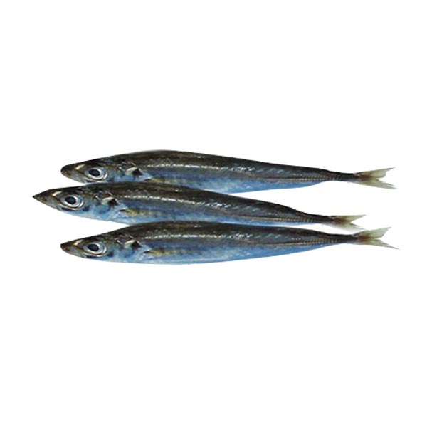 Galunggong Tunay 1KG