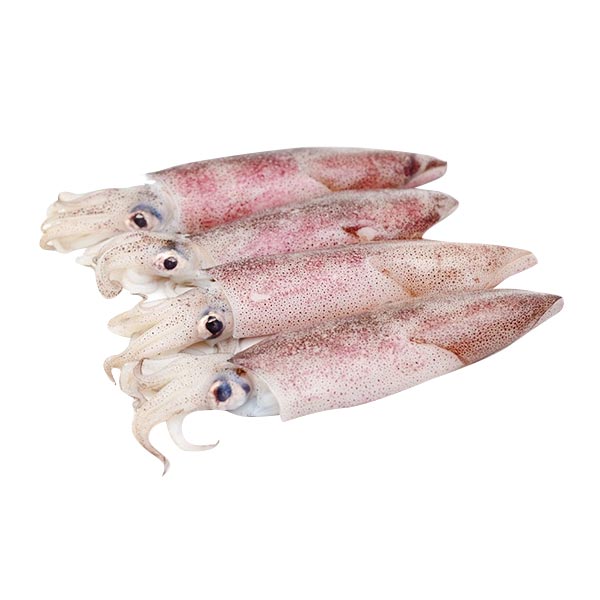 Pusit Bisaya 1kg