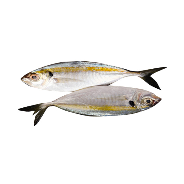 Salay Salay 1kg