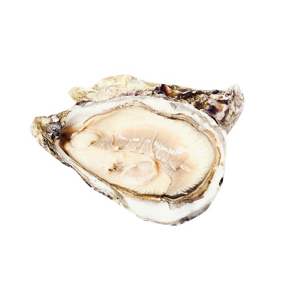 Talaba 1kg