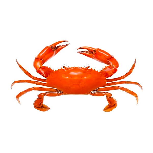 Talangka 1kg