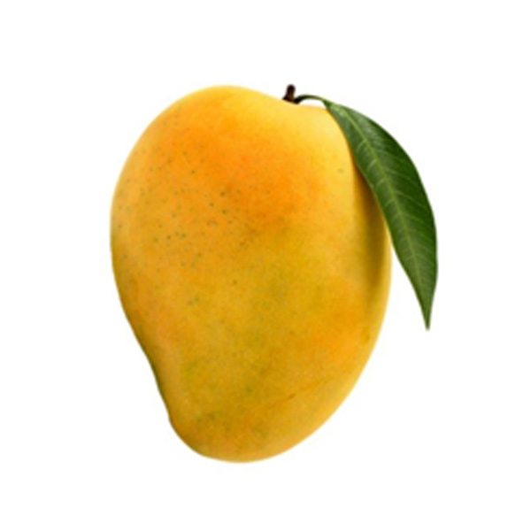 Mango Yellow Medium - Kilo