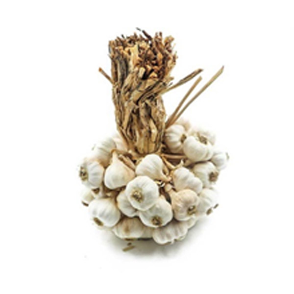 Native Garlic 1kg