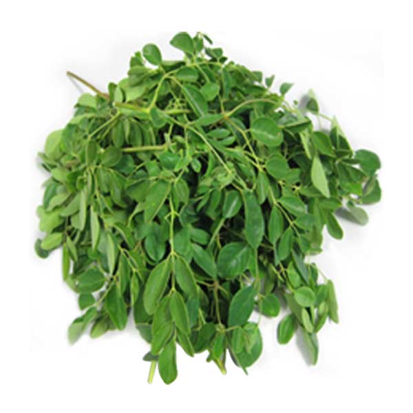 Malunggay Leaves - Kilo