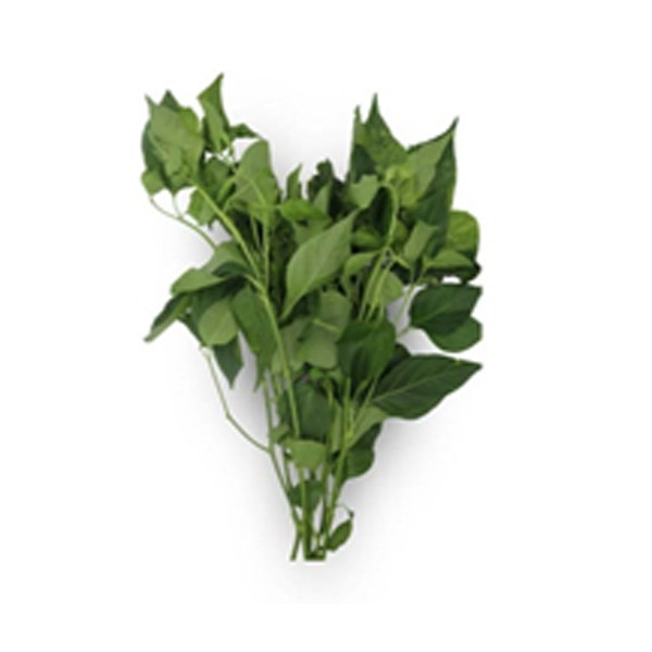 Sili Leaves 1kg