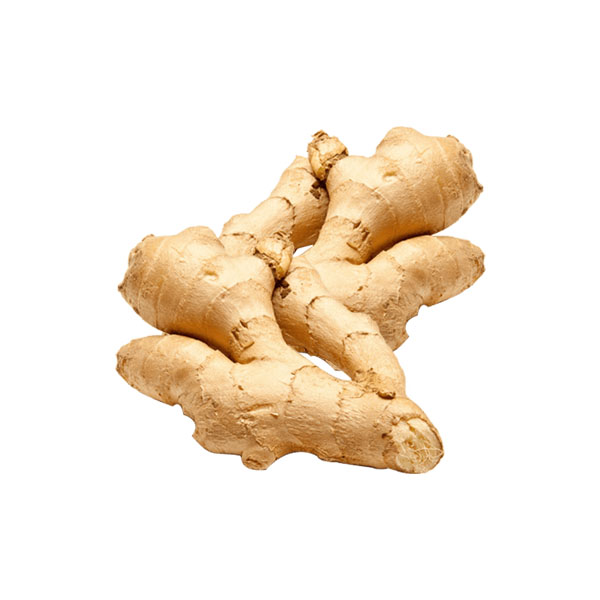 QV GINGER 1KG
