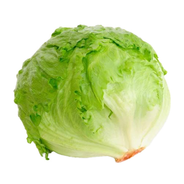 QV Lettuce Head
